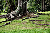 Sri Lanka stock photographs